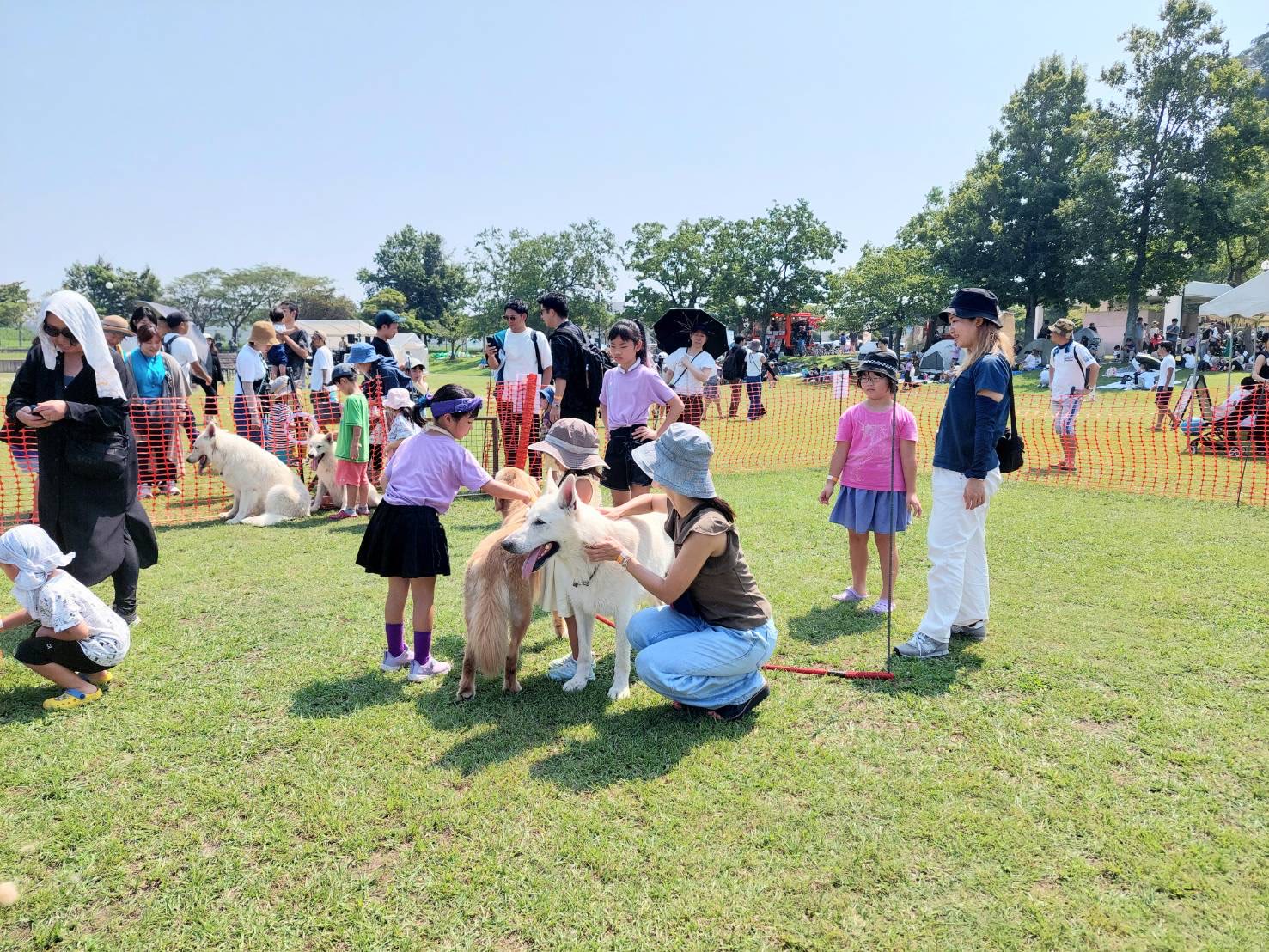 2024年オドフェスの会場の賑わい