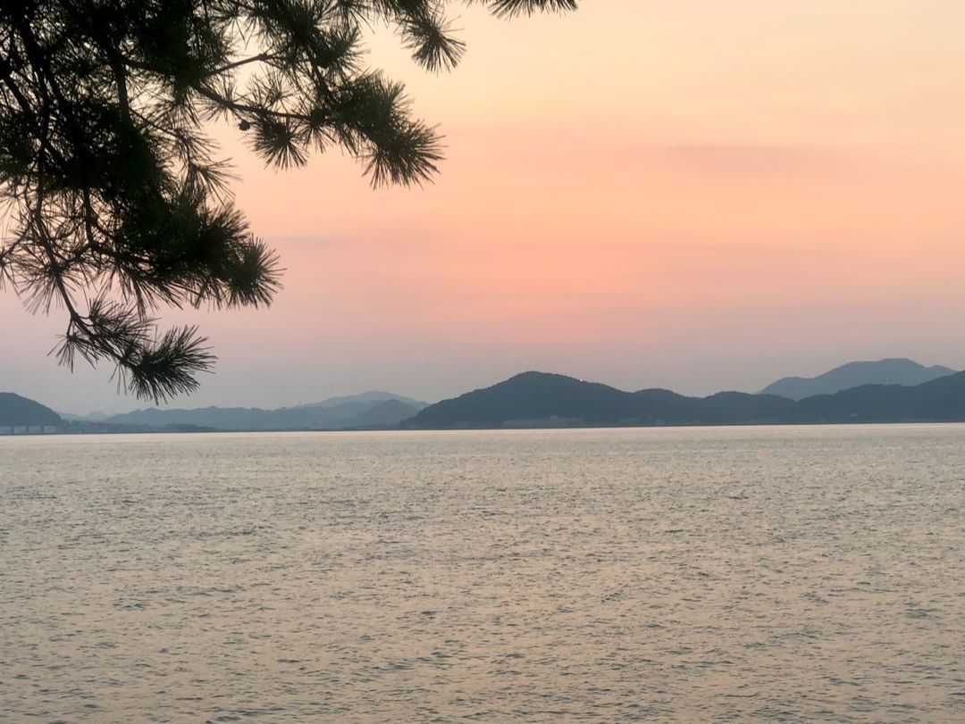 2024年開催時の様子：海に沈む夕日